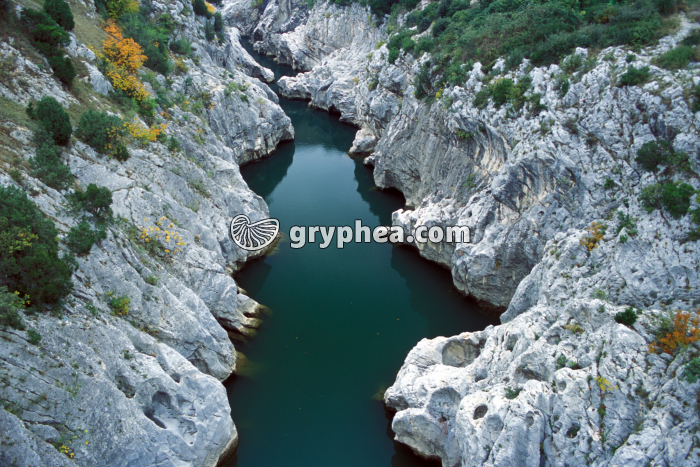 Gorges calcaires de l'Hérault - gryphea.com